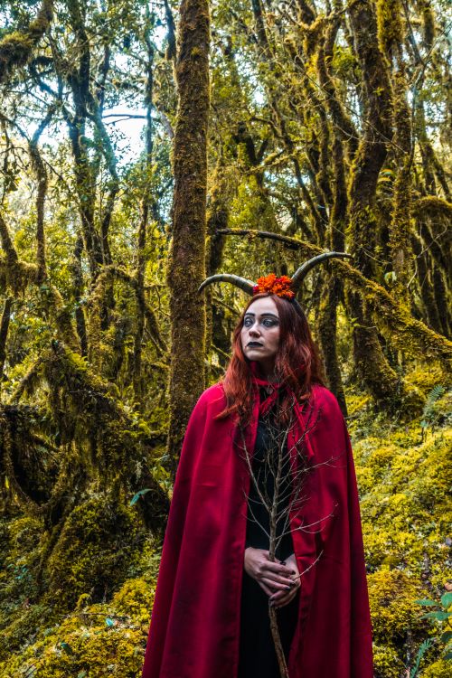 Free A mysterious woman in a red cape with horns stands in a dense, mystical forest. Stock Photo