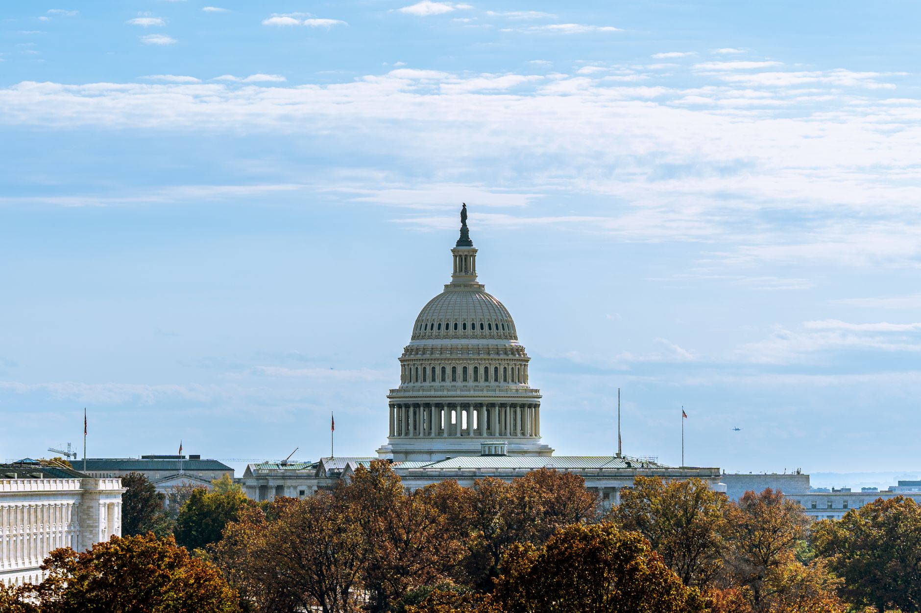 Reputational Risk and the Fallout of High-Profile Scandals