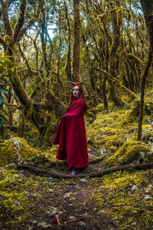 Free A woman in a red cape with horns stands in a mystical forest in Choachí, Cundinamarca, Colombia, evoking fantasy and mystery. Stock Photo
