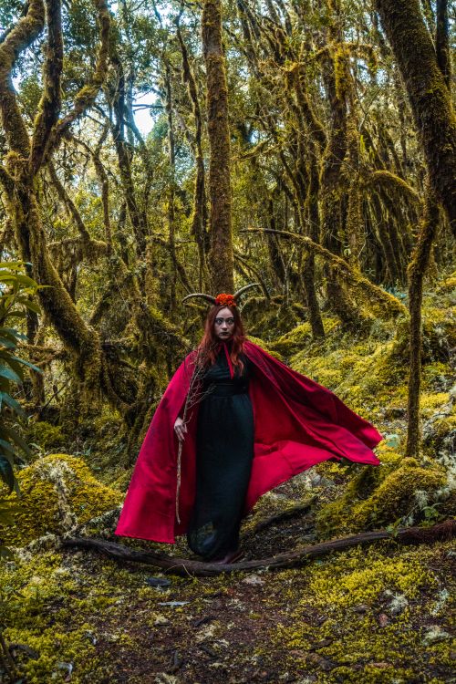 Free Mystical woman in red cape with horns in a lush Colombian forest. Captivating fantasy theme. Stock Photo