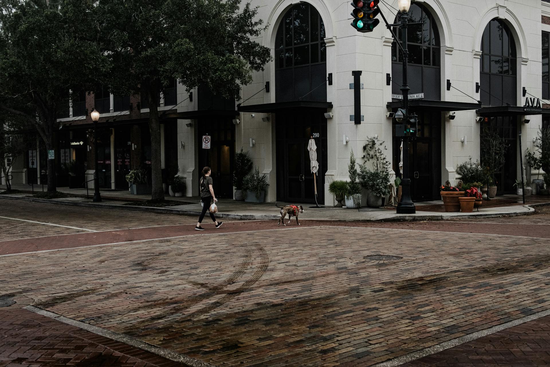 Girl with Dog Walking on City Street