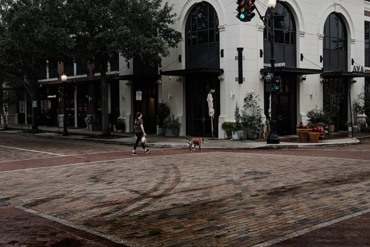 Girl With Dog Walking On City Street