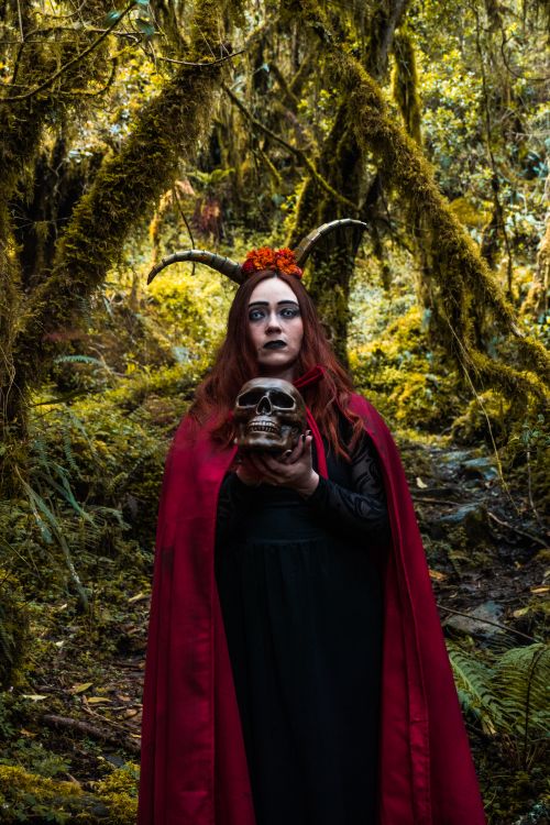 Free A woman dressed as a witch with horns, holding a skull in a mystical forest setting. Stock Photo