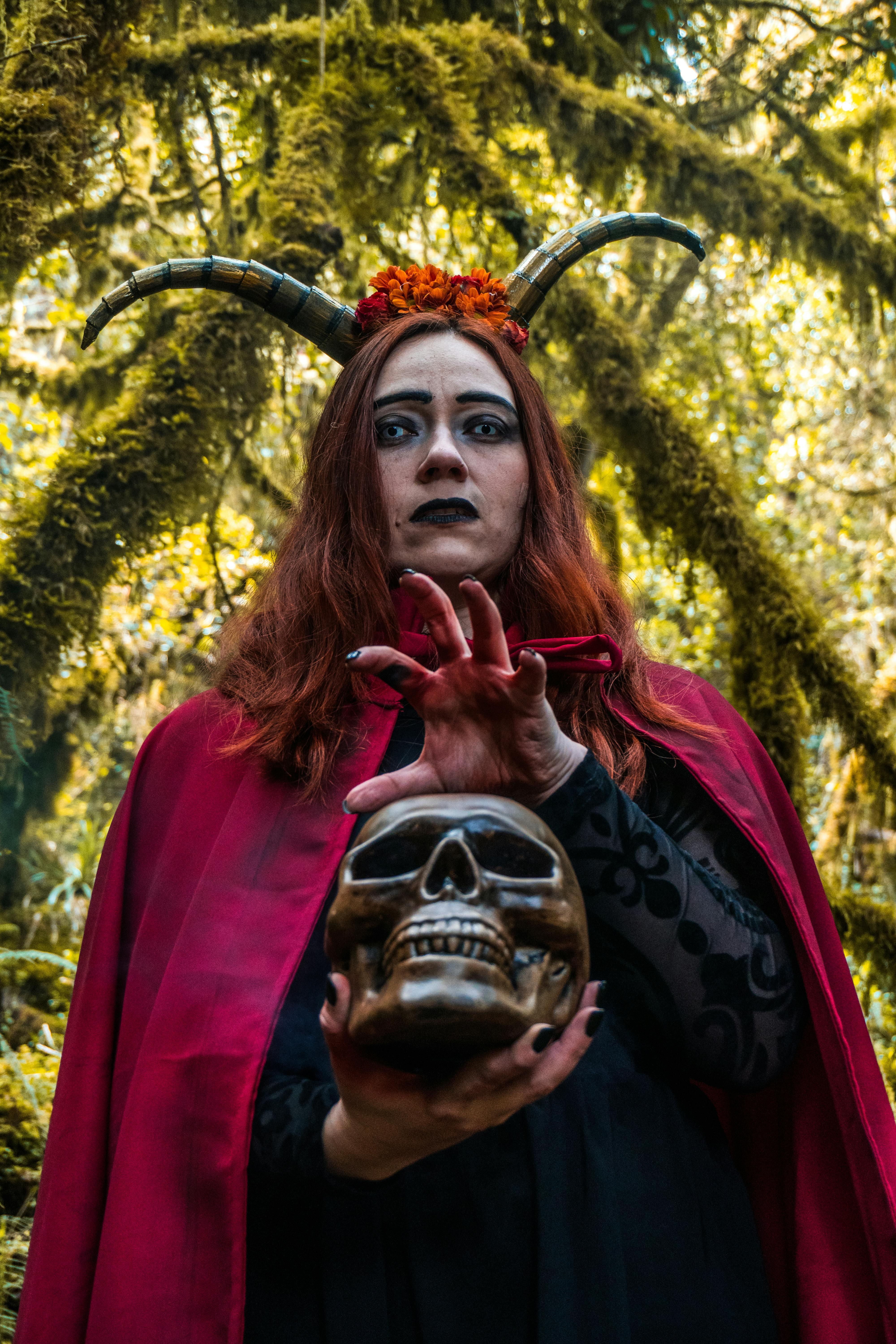 Gratuit Photos gratuites de amérique du sud, automne, bois sombre Photos