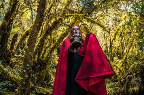 Free A mysterious woman in a red cloak holding a skull in a dense forest setting. Stock Photo
