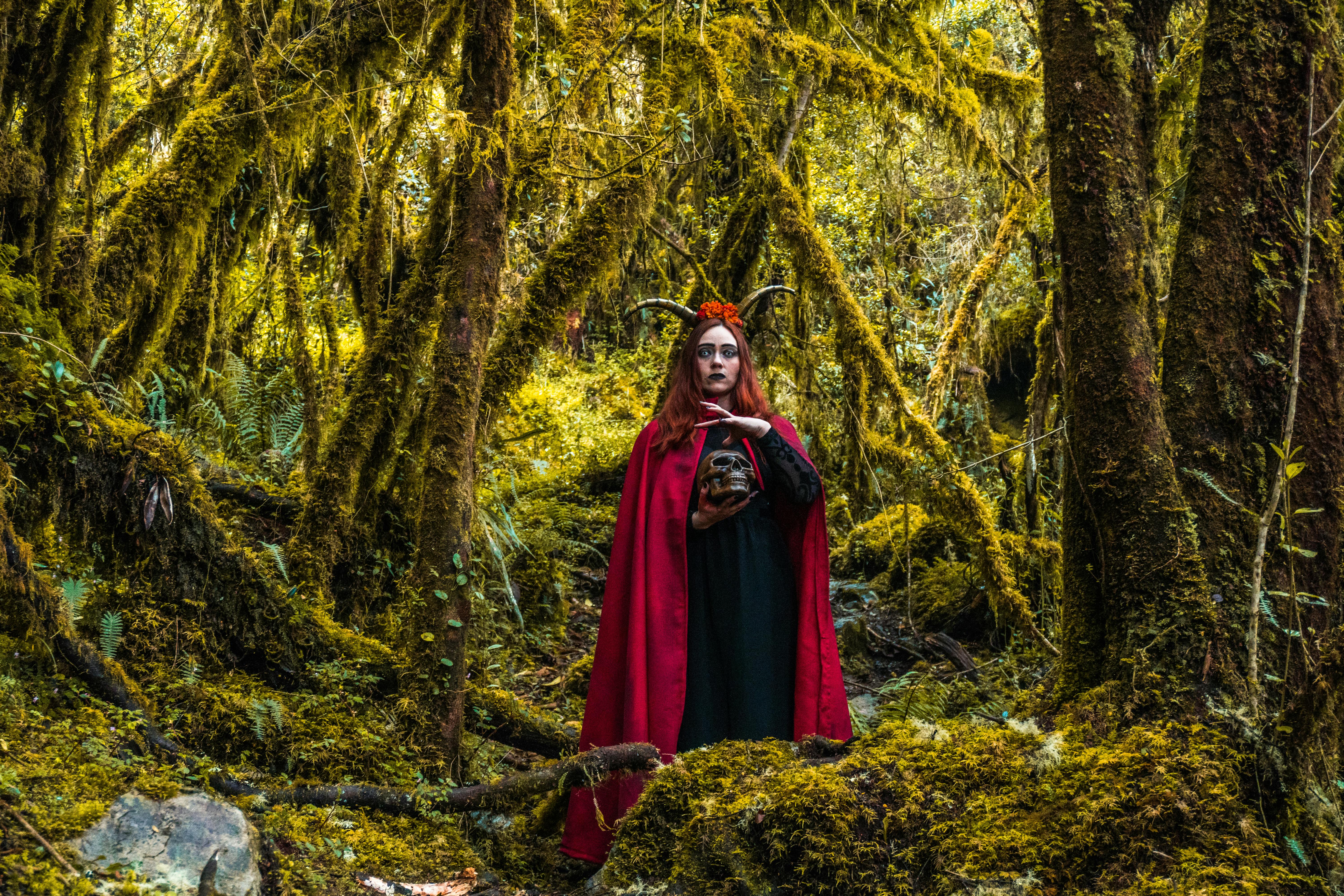 Rediscovering the Forgotten Herbal Wisdom of the World's Cultural Heritage