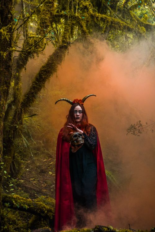 Free Fantasy witch in red cape amidst mystical forest smoke holding a skull. Captivating and spooky. Stock Photo