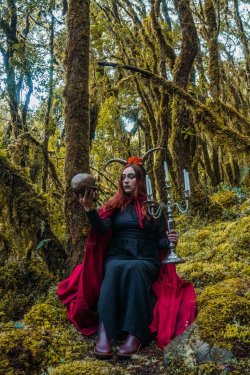 Free A woman in a red cape holds a skull and candelabra amidst a mystical forest. Stock Photo