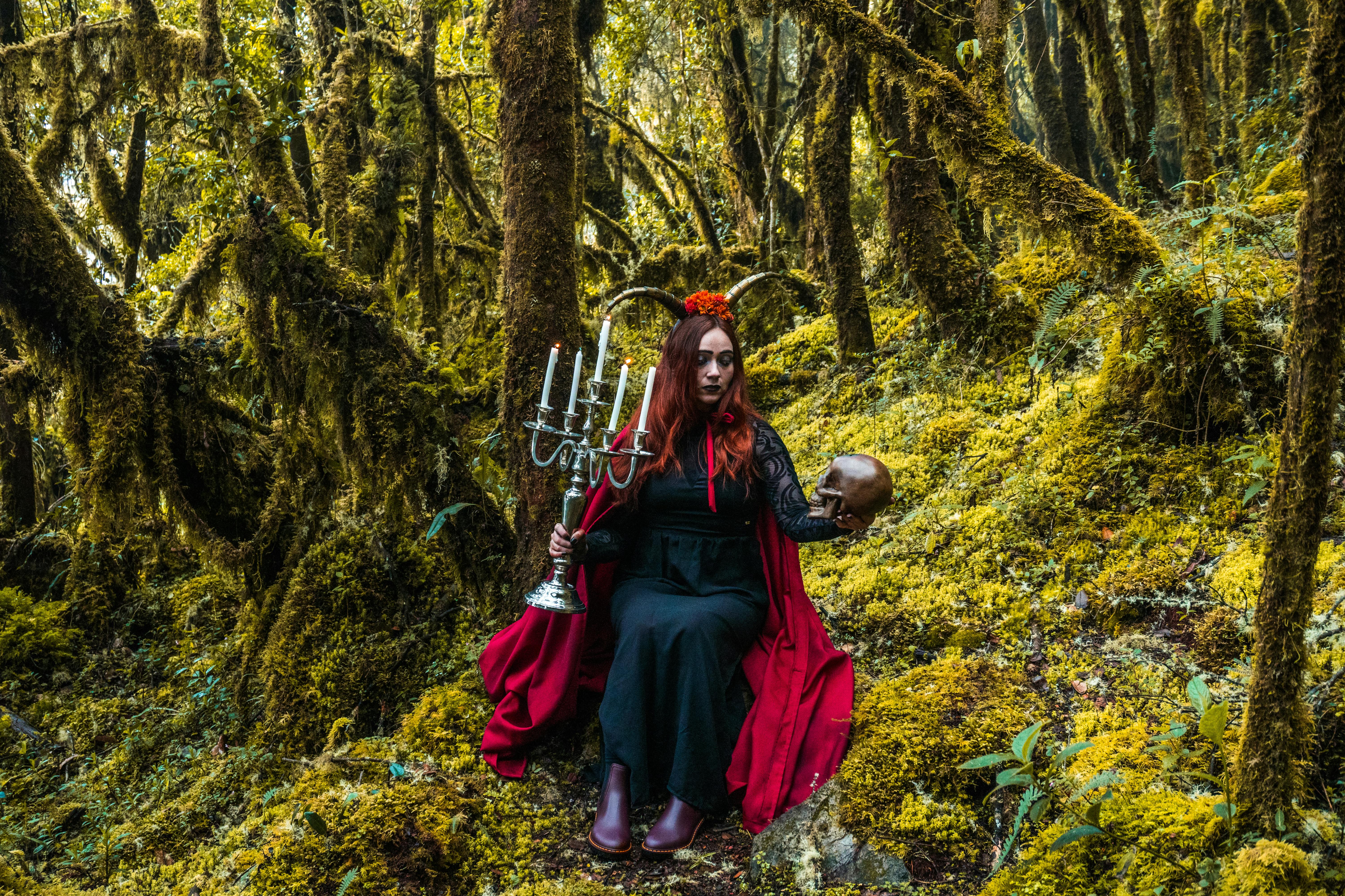 Gratuit Photos gratuites de ambiance forêt, amérique du sud, arbres moussus Photos