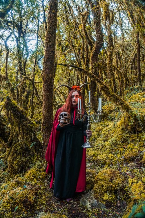 Free A woman in Halloween costume with horns and skull, standing in a mossy forest in Choachí, Colombia. Stock Photo