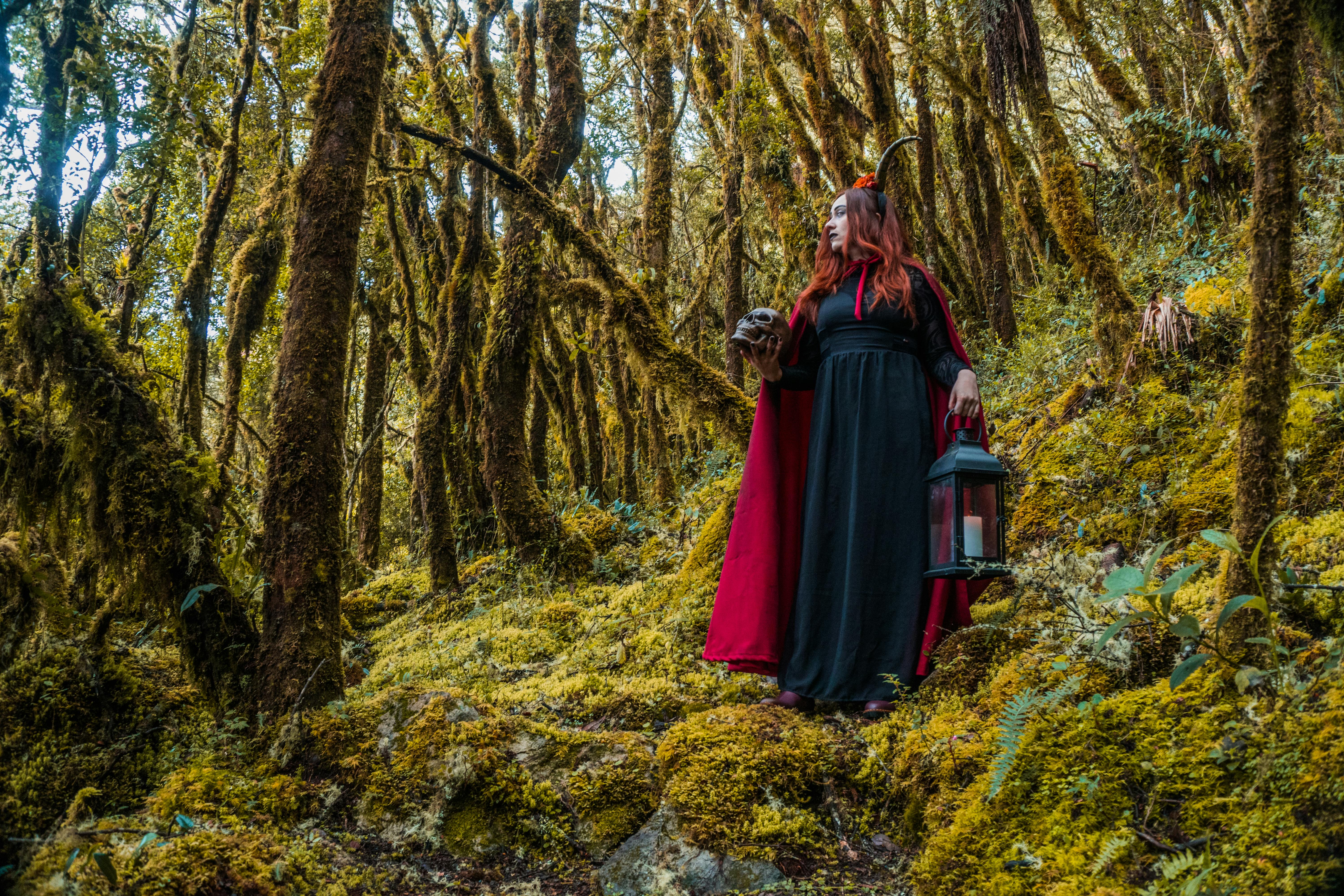 3 Fantasy Series Like A Discovery of Witches to Stream Now — Photo by Juan Felipe Ramírez on Pexels