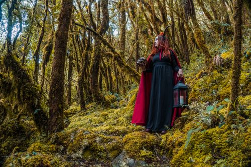 Free A mysterious woman in a red cape explores a mossy forest holding a lantern and skull. Stock Photo