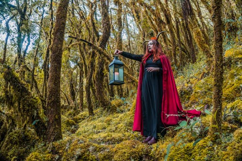 Free A woman wearing a red cloak holds a lantern in a magical forest in Choachí, Colombia. Stock Photo