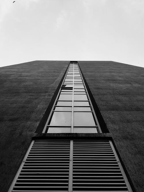 Black and White Photo of a Building's Windows