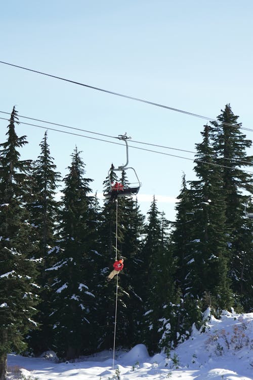 Foto profissional grátis de árvores, cênico, elevador de esqui