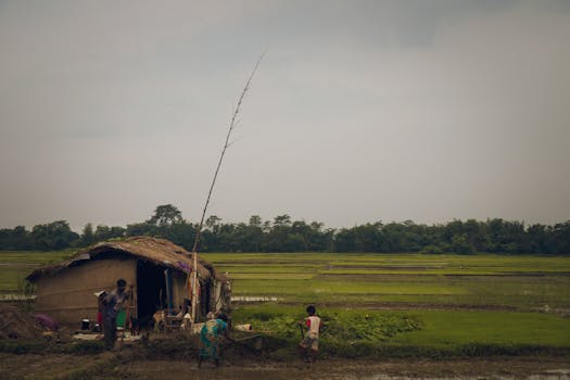 Explore the serene beauty of rural life in Lumbini, Nepal amid lush fields and traditional huts.