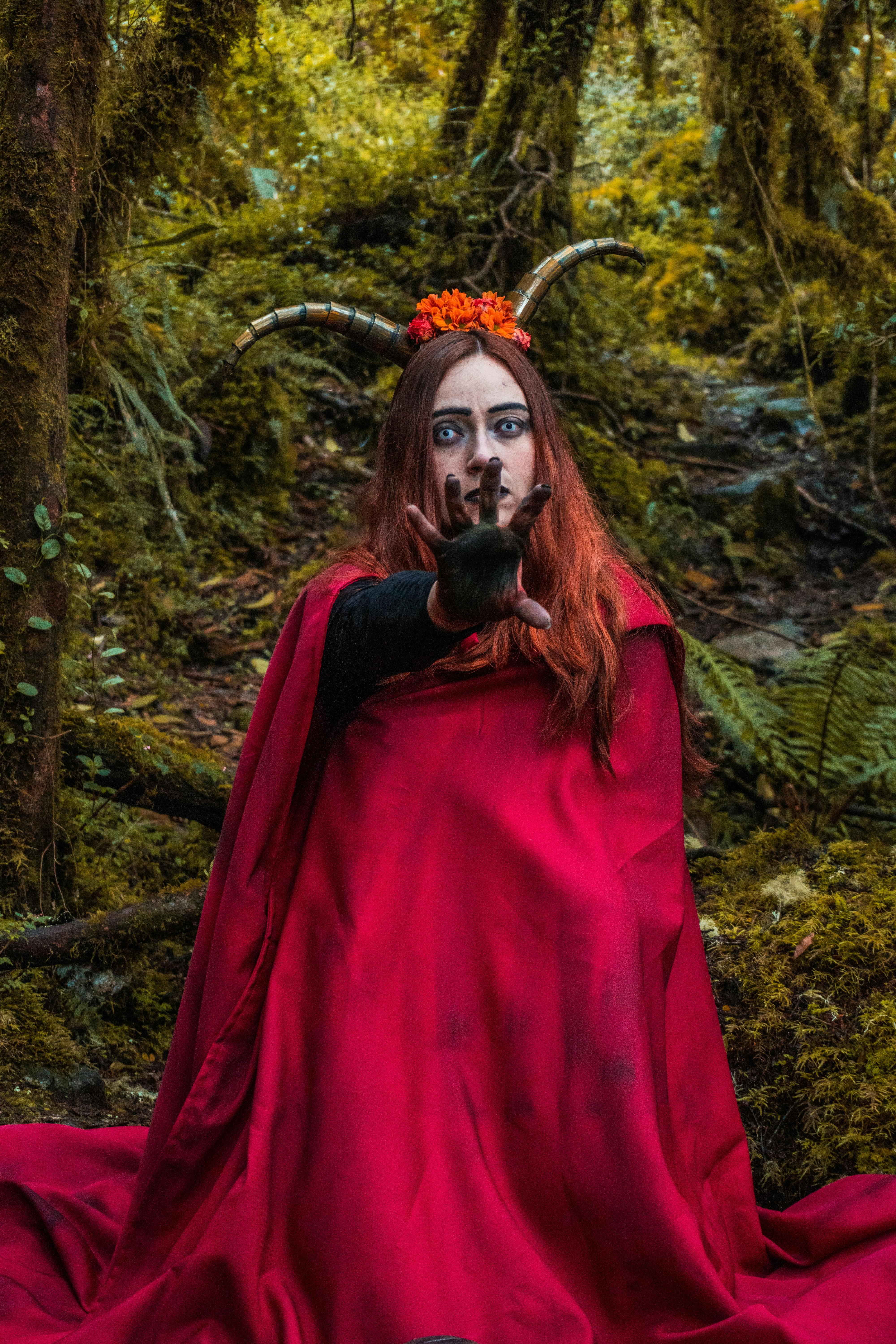 Gratuit Photos gratuites de amérique du sud, arbres, automne Photos