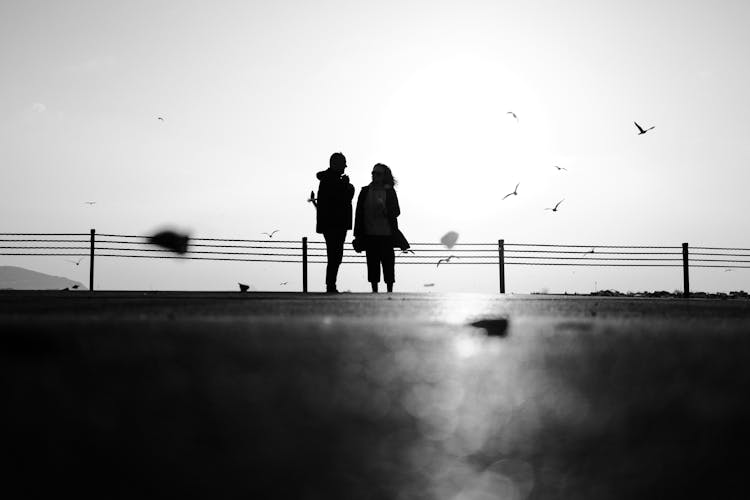 Silhouette If Couple Standing By Low Fence