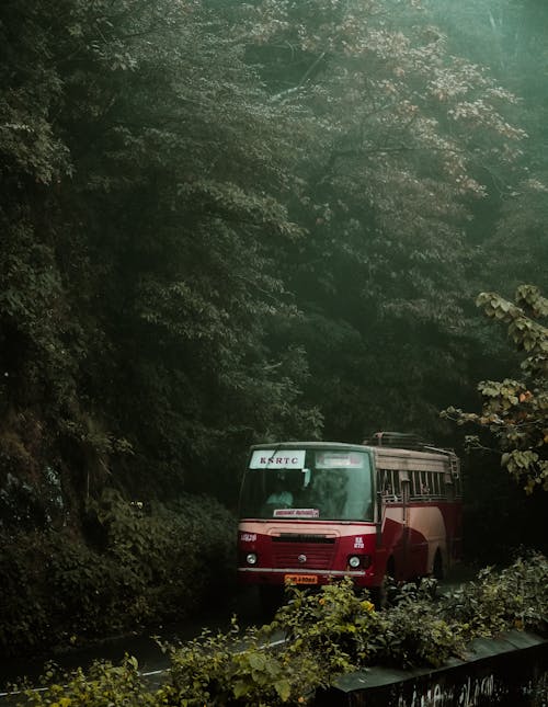 Red Bus on the Road in the Mountains