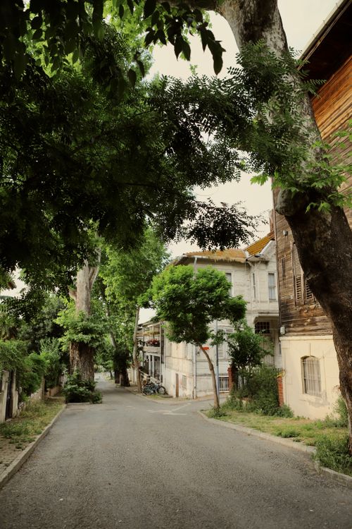 Free Explore a picturesque alley in İstanbul with historic houses and lush greenery. Stock Photo