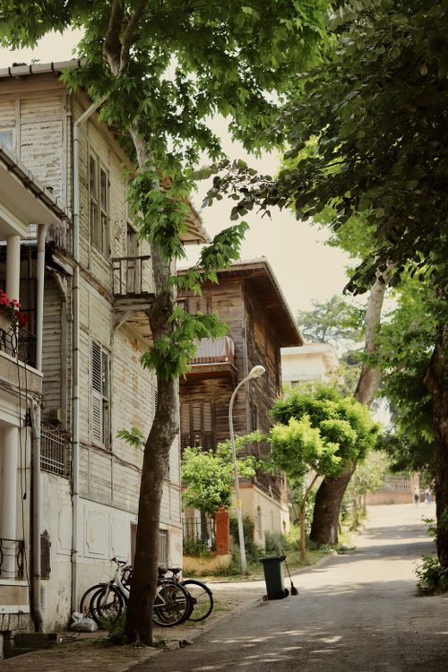 Free A quaint street lined with trees and charming historical buildings, offering a tranquil atmosphere. Stock Photo