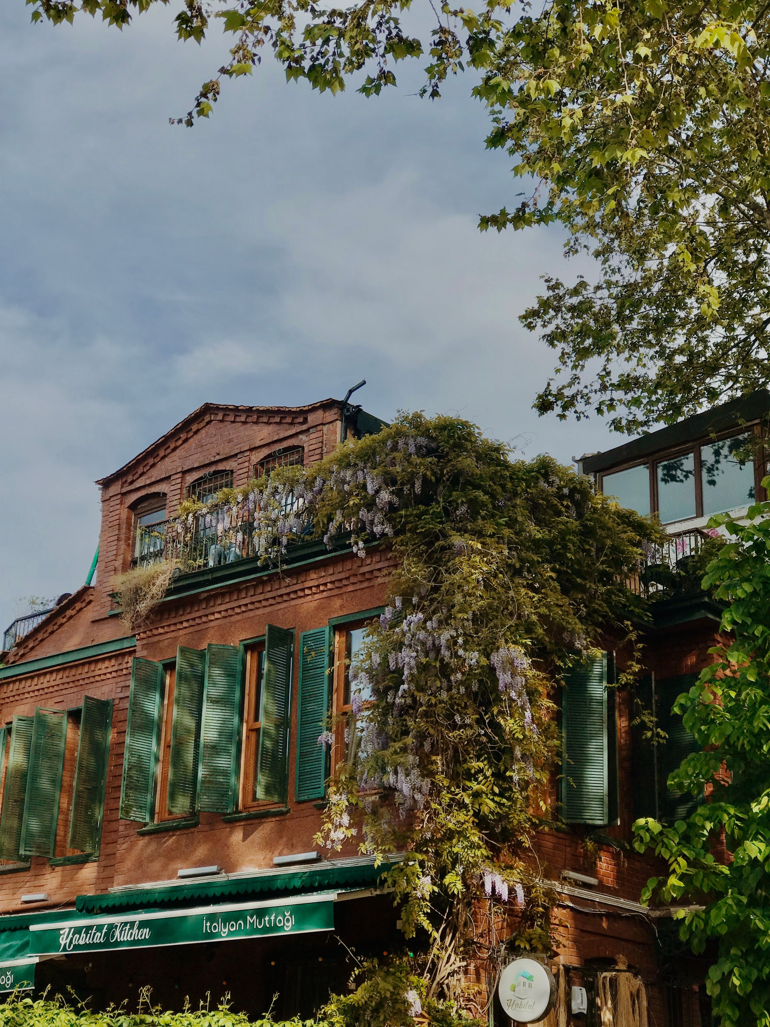 A cozy café with lush climbing plants on a rustic facade in İstanbul, Turkey.