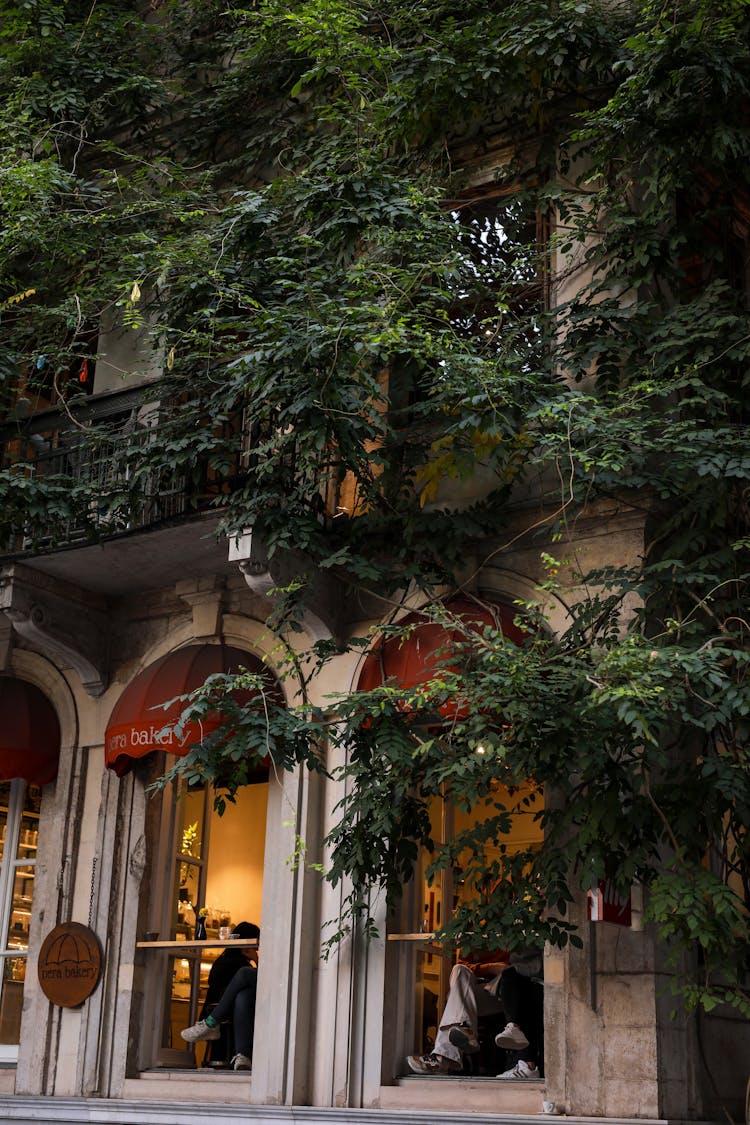 House With Balcony With Hanging Plant On Facade