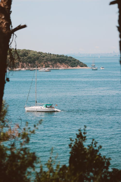 ada, ağaçlar, deniz içeren Ücretsiz stok fotoğraf