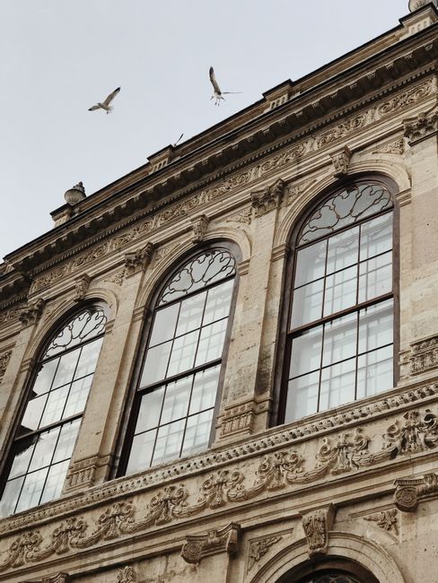 Low angle view of ornate historic building facade with birds flying against a blue sky.