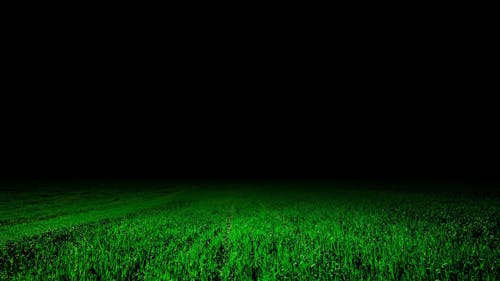 Gratis lagerfoto af 4k baggrund, græs, græs baggrund