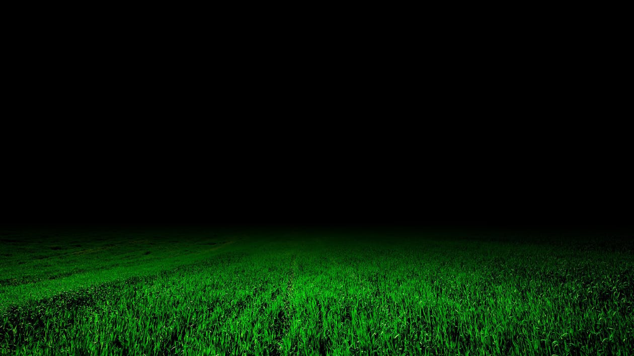 Dark grass field