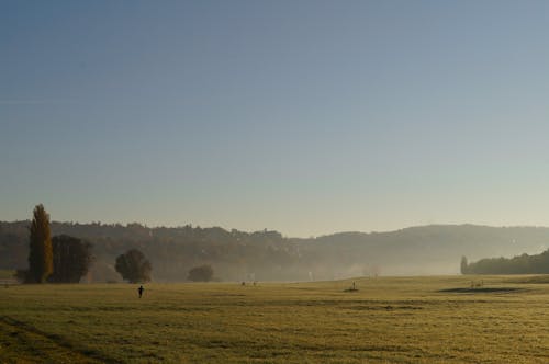 Free stock photo of fog, grass, hill