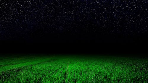 Photos gratuites de champ d'herbe, ciel étoilé, fond d'herbe