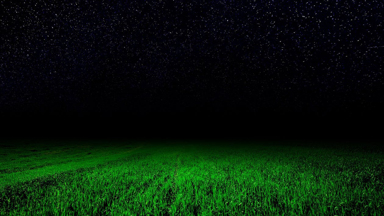 Starry night grass field