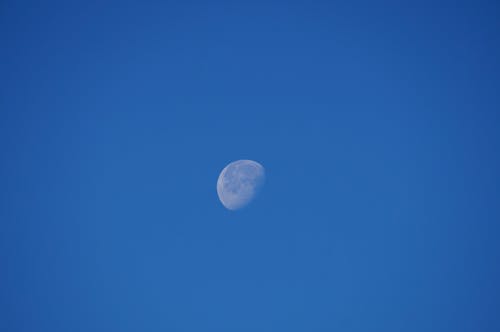 Free stock photo of daylight, moon