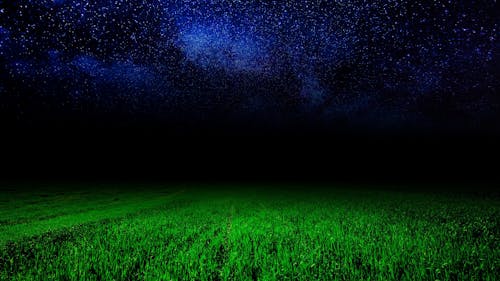 Foto stok gratis berumput, bidang rumput, bintang biru