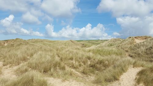 Free Idyllic grassland under a clear blue sky with fluffy clouds, Angle, Wales. Stock Photo
