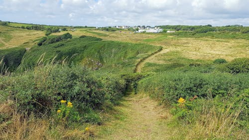 Kostenloses Stock Foto zu ackerland, außerorts, feld