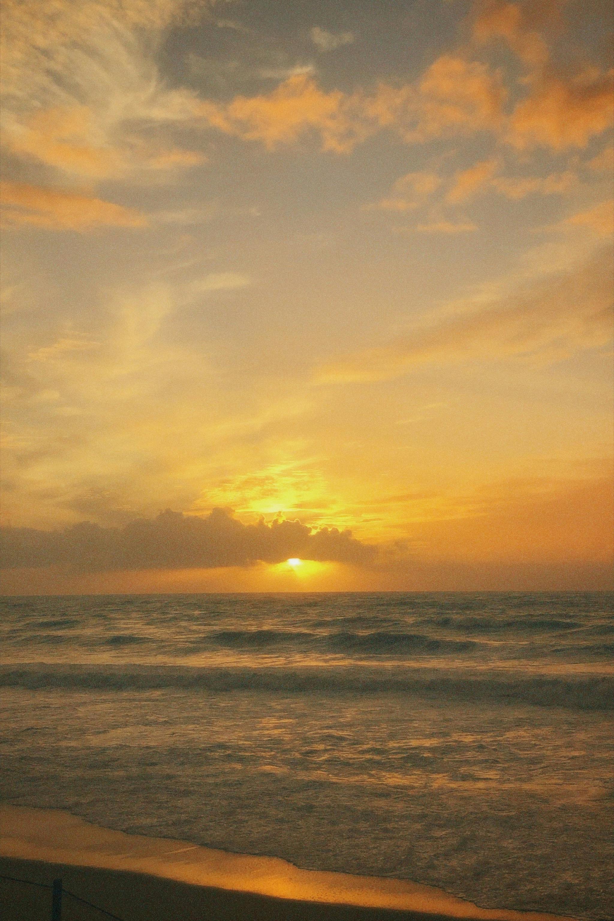 lic-rantakukka-photos-download-the-best-free-lic-rantakukka-stock