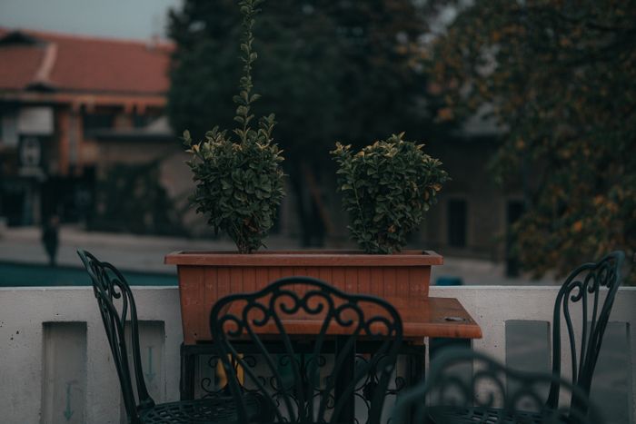 Planted terrace with ironwork seating, photo by Enes Karahasan on Pexels