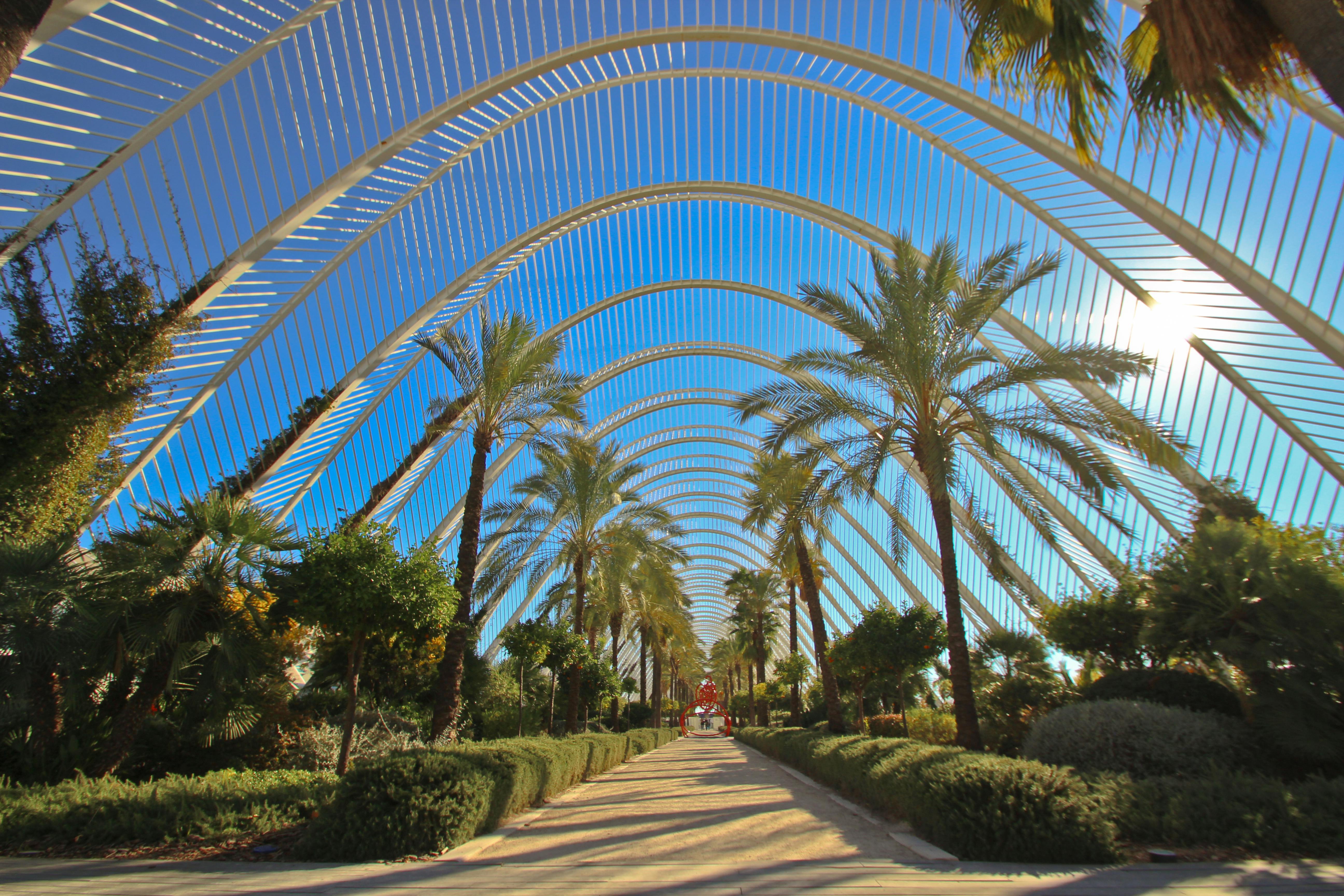 the garden in l umbracle