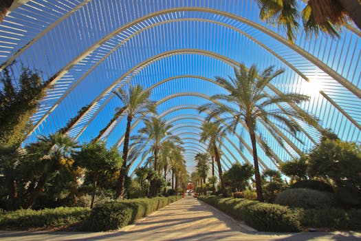 Valencia, Spain photo 12