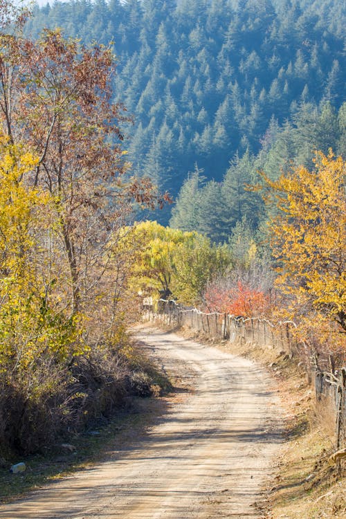 Free A Dirt Road in a Rural Area Stock Photo