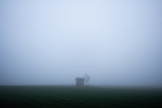 A serene hut in a foggy field near Lausanne, Switzerland, creating a peaceful and ethereal atmosphere.