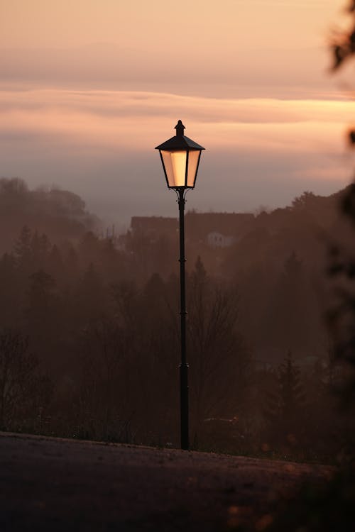 A Street Lamp Near the Trees