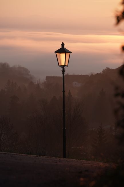 Atmospheric twilight view of a lone street lamp amidst misty trees in Styria, Austria.