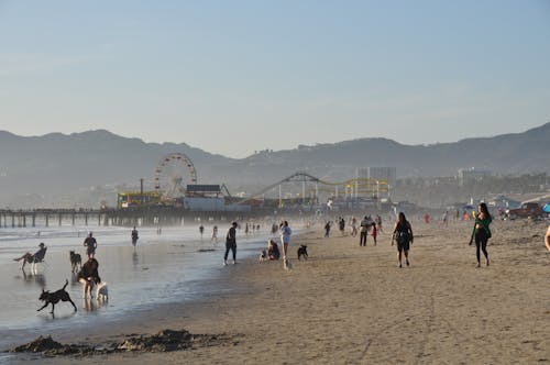 Photo of People at the Beach