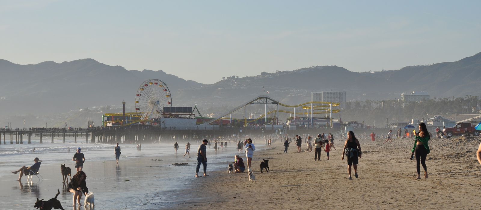 People and dogs enjoying a day at Santa Monica Beach with the iconic pier in the background.