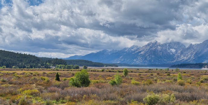 Stunning landscape view of the Grand Teton mountains and vast fields under a cloudy sky at Yellowstone National Park.