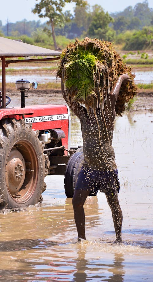 Red Tractor on Mud